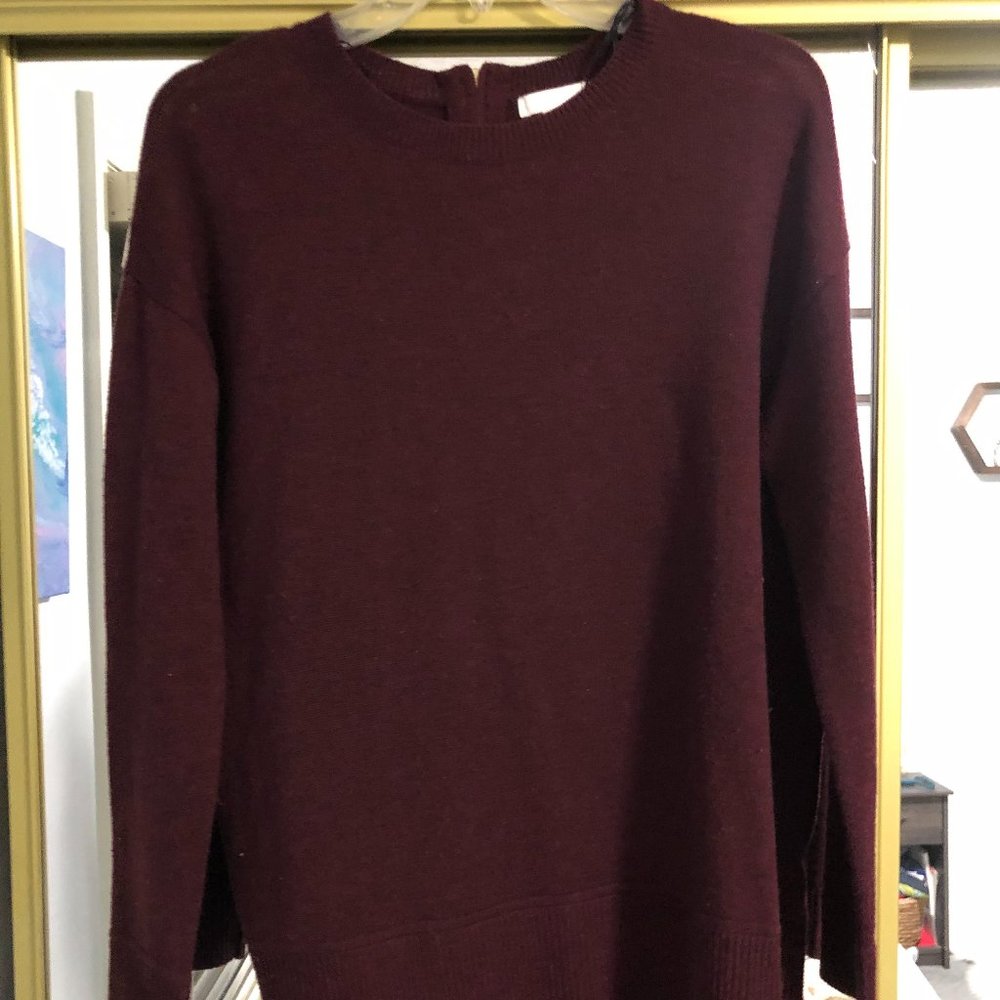 H&M Conscious Long Sleeve Maroon Sweater with Back Zipper